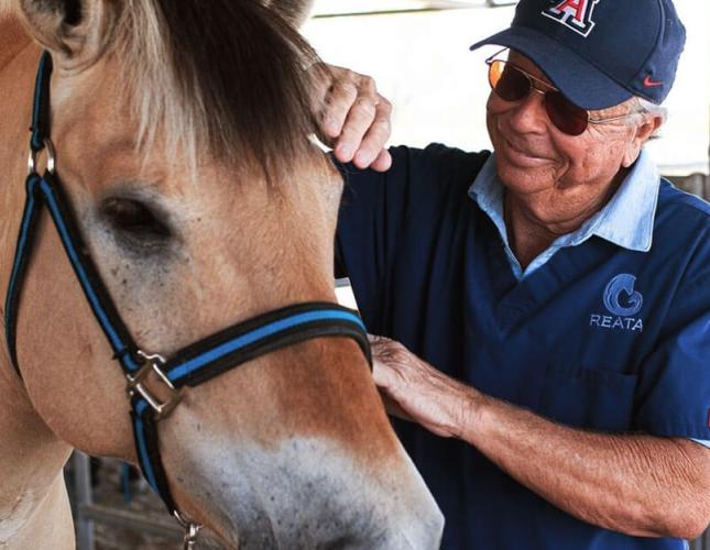 Laminitis Risk Factors in Horses