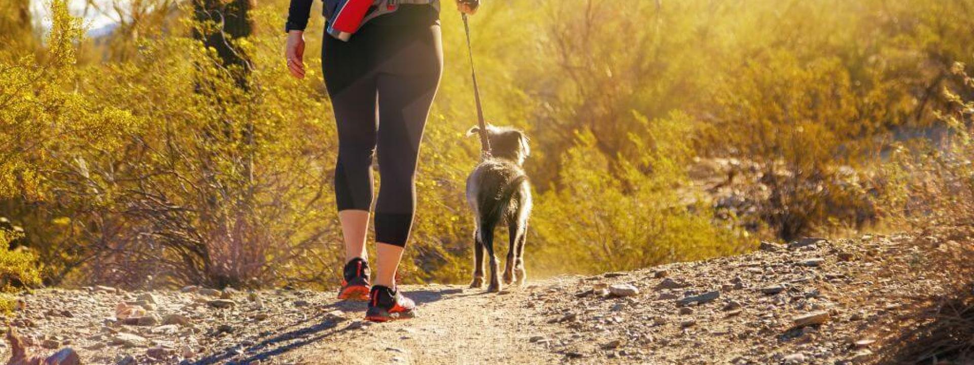Woman walking her dog outside in Arizona